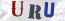 Güvenlik Resmi